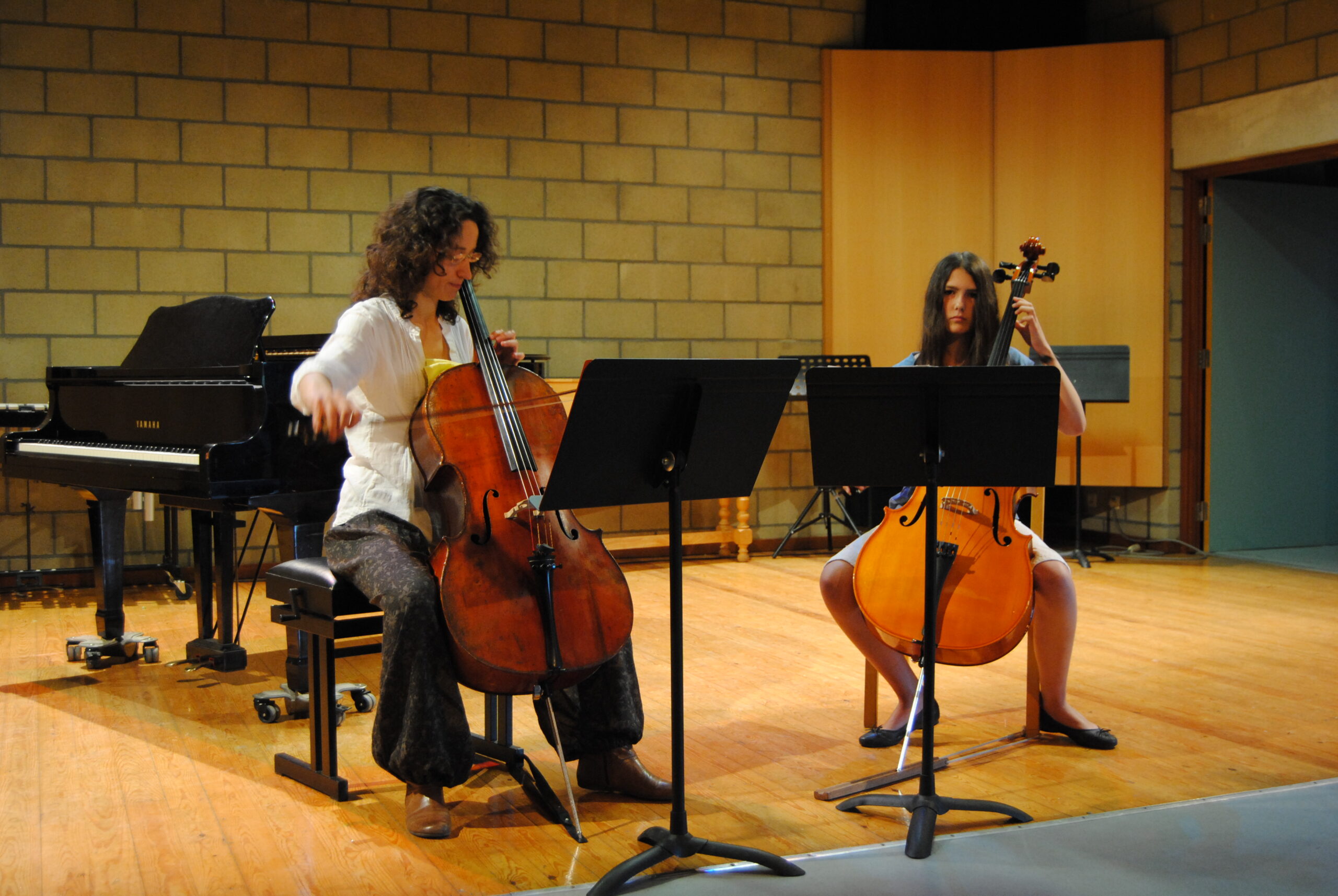 cello_dsc_0200